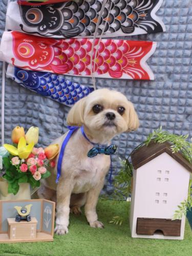 20230530モカちゃん